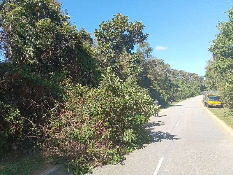 Read more about the article Kerja: Kerja-kerja pembersihan dan mencantas pokok yang menghalang pandangan kenderaan ketika melalui jalan Bukit Terabak.